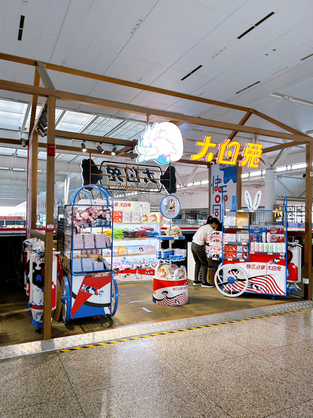 What To Buy at Shanghai Hongqiao Railway Station 