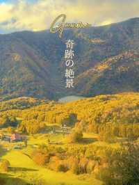 【群馬】超穴場紅葉スポット!!奇跡の絶景を楽しもう🧡