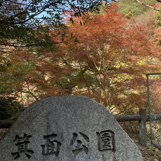 日本大阪勝尾寺、箕面公園賞楓