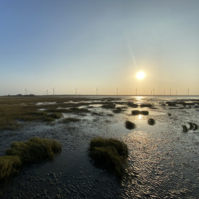 自然之美：台灣高美濕地的靜心之旅🌾🦆🌿