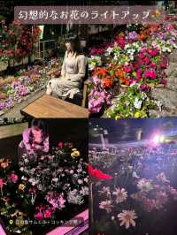 〜神奈川県江ノ島〜爽やかな湘南・江ノ島観光半日プラン　お得情報も♡