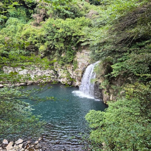 제주 천제연폭포