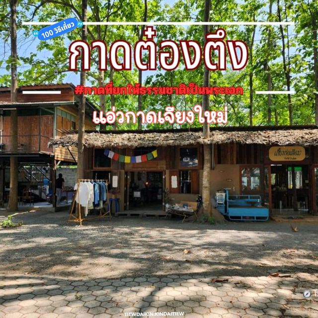 กาดต๋องตึง เชียงใหม่