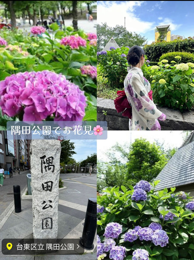 〜東京都〜MAP付!日曜でも大満喫！欲張り浅草半日プラン