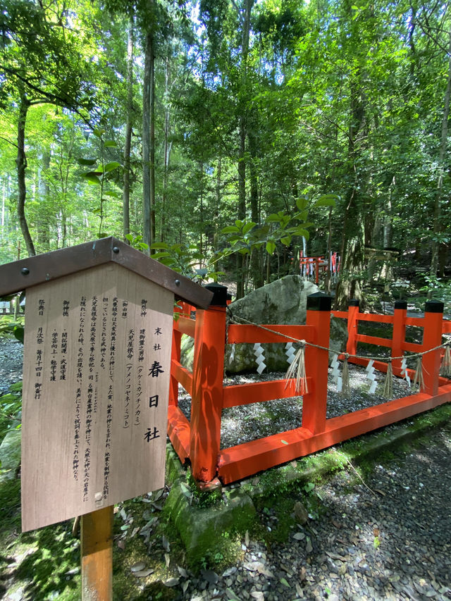 【京都観光】身も心も清められる出雲大神宮で御参拝⛩️