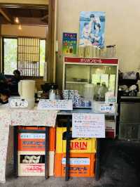 【奄美大島】並んでも食べたいお豆腐屋さんのランチ！