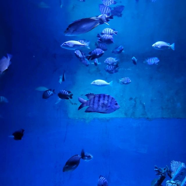 Underwater World Pattaya 
