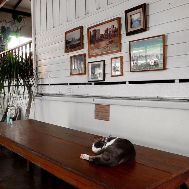 เผลอสุขใจ Cafe&Bed - Koh Larn