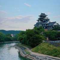 桑名城九華公園：日本城堡的浪漫🏯🌸