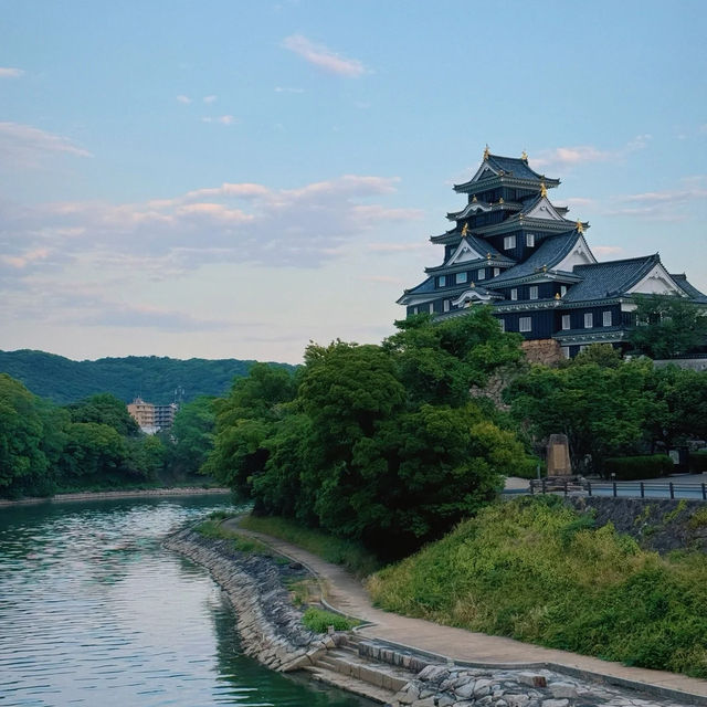 桑名城九華公園：日本城堡的浪漫🏯🌸
