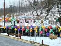 눈에 둘러 쌓인 화개정원