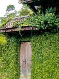 BREAKFAST IN NATURE : THE LEMUNI