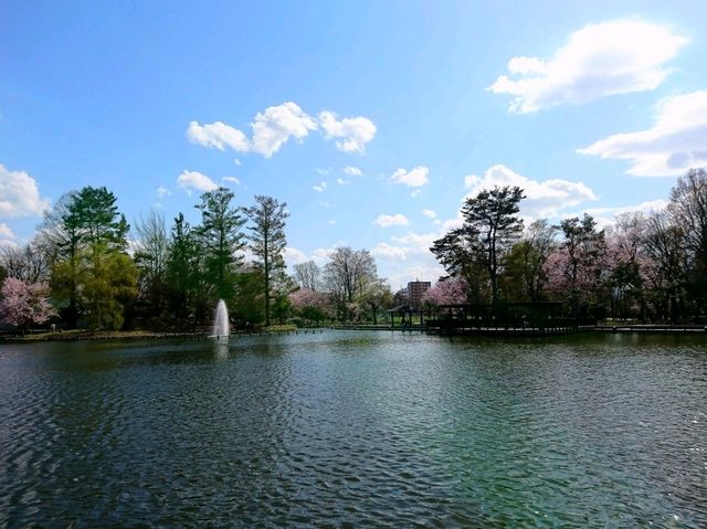 【常磐公園:北海道旭川市】四季折々に楽しめる公園🌳