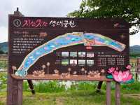지산 샛강 생태공원에서 맨발걷기 어때요?