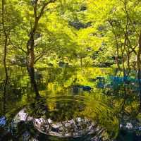 嵐山中的水鏡光影世界
