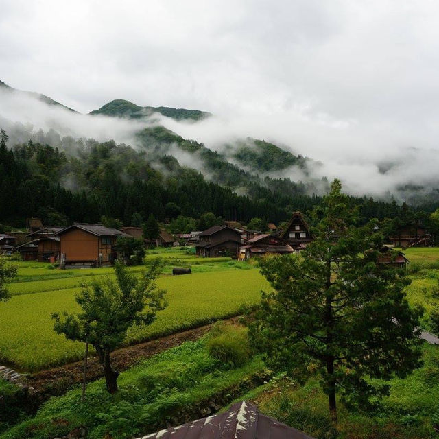 在夏日旅行裡感受著白川鄉合掌村的歷史與靈魂