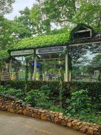 The Scenery Vintage Farm