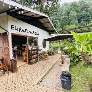 清邁 - Elefin farm&cafe 大象咖啡廳
