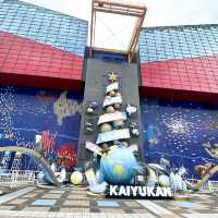大阪海遊館-全球最大規模的水族館，有觀賞與教育意義