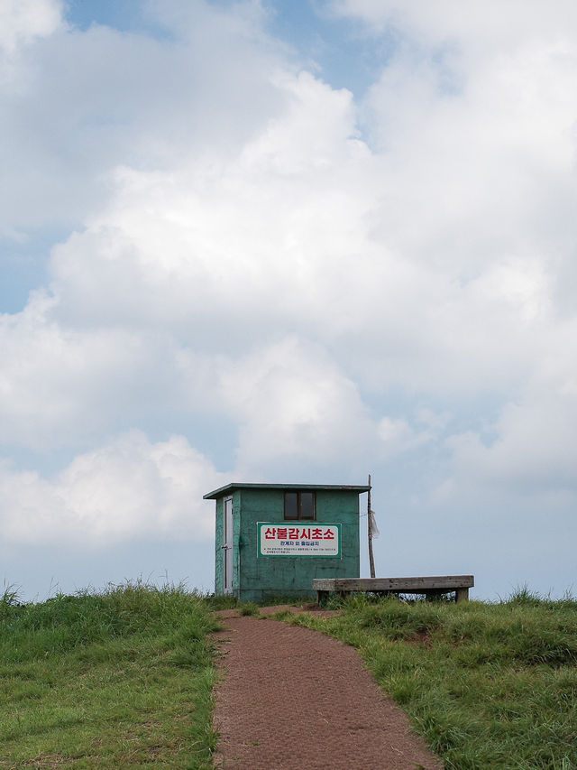 제주도 서쪽 가야하는 오름 금오름 추천