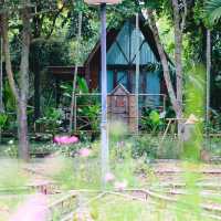 บ้านนอกคอกนาเขาใหญ่  จ.นครราชสีมา