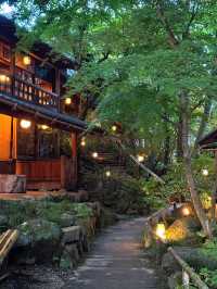 奧多摩町的隱藏自然瑰寶：東京行程中的靜謐綠洲⛰️🌿