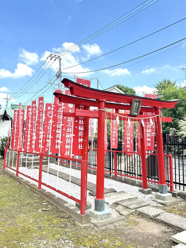 【東京都】存在感ある樹齢900年の欅