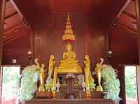 วัดป่าคลอง 11