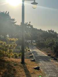 제주도 한적한 바다 ‘하모해수욕장’