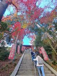 【毘沙門堂:京都市山科区】真っ赤なもみじが美しい毘沙門堂🍁