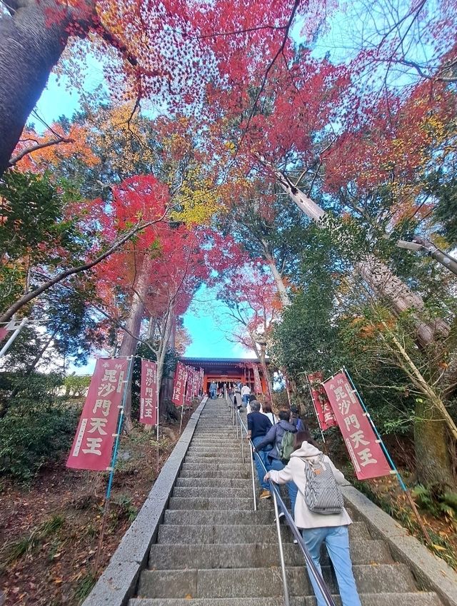 【毘沙門堂:京都市山科区】真っ赤なもみじが美しい毘沙門堂🍁