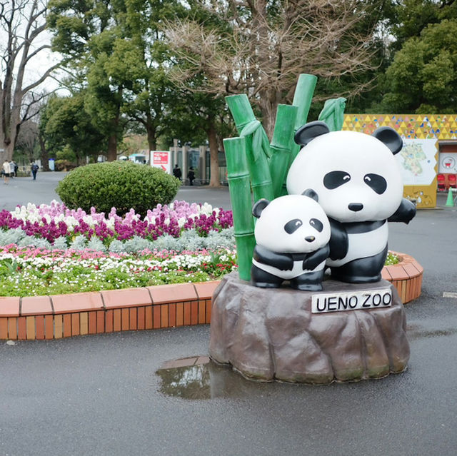 動物園系列（一）～上野動物園