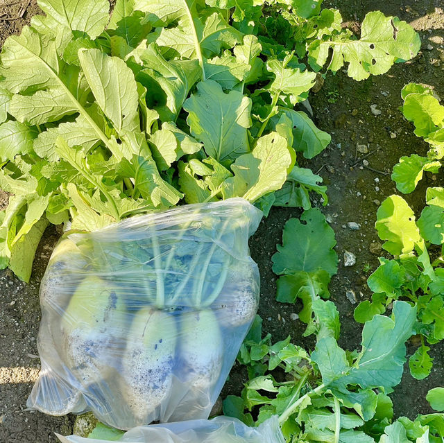 삼시세끼 다 주는 숙소가 있다고⁉️