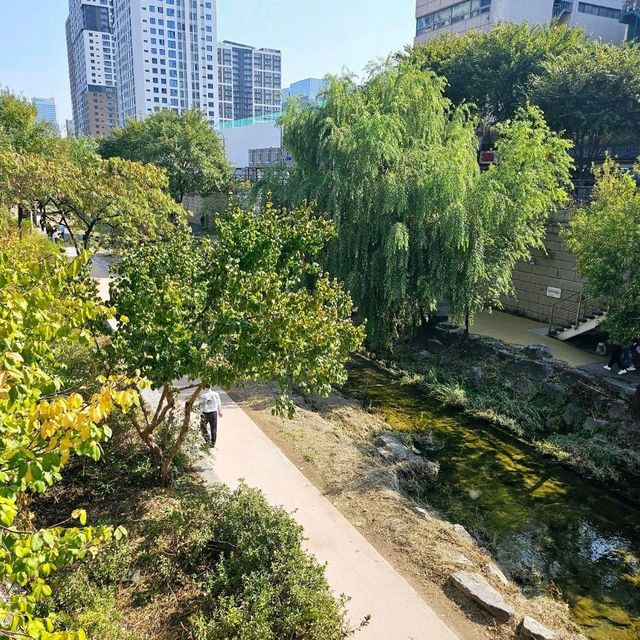 청계천에서 즐기는 야외데이트
