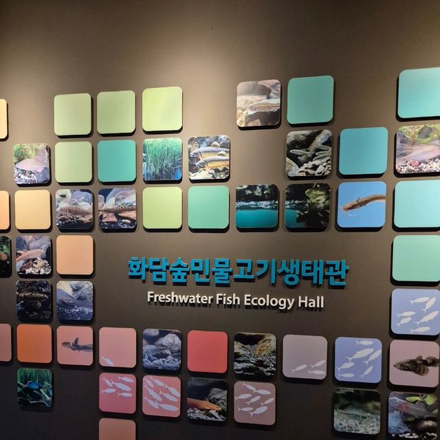 🏞비바리움을 연상케하는 자연 아쿠아리움 화담숲자연생태관🏞