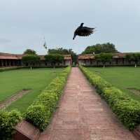 Royalty of Taj Mahal & Fatehpur Sikri