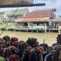 สัมผัสวิถีชีวิตชาวภาคกลางที่ตลาดอัมพวา 2024