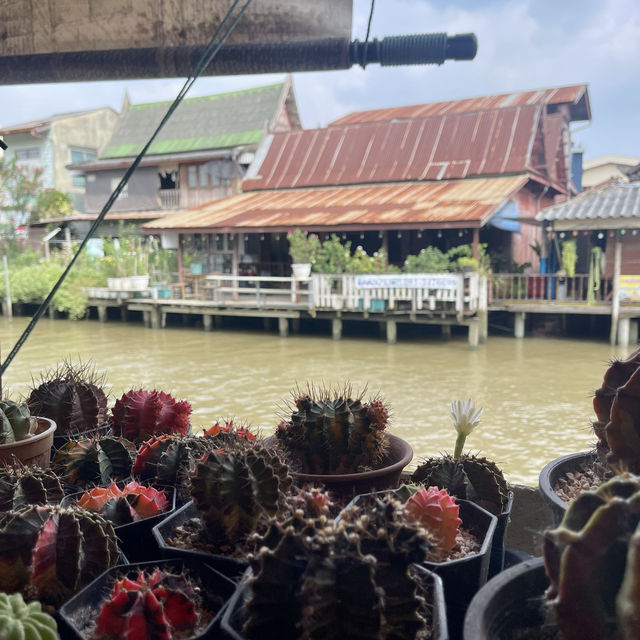 สัมผัสวิถีชีวิตชาวภาคกลางที่ตลาดอัมพวา 2024