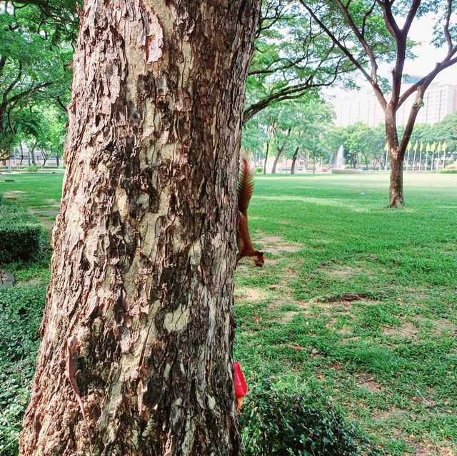 泰國曼谷著名校園景點:朱拉隆功大学，適合拍照📸打卡親子遊，曼谷市區非常值得一去的景點