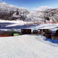 東京滑雪場推薦⛷️🏂⛷️⛷️🏂⛷️