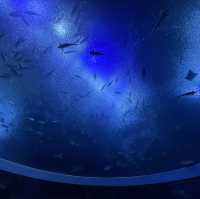 珠海澳門四天三夜自由行