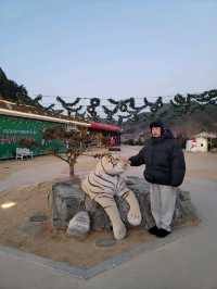 산타옷도 입어볼수 있는 봉화 산타마을 우체국🎅