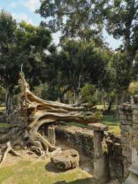 ศรีสัชนาลัยเมืองแห่งมรดกโลกจาก UNESCO