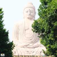 The Great Buddha of Daijokyo