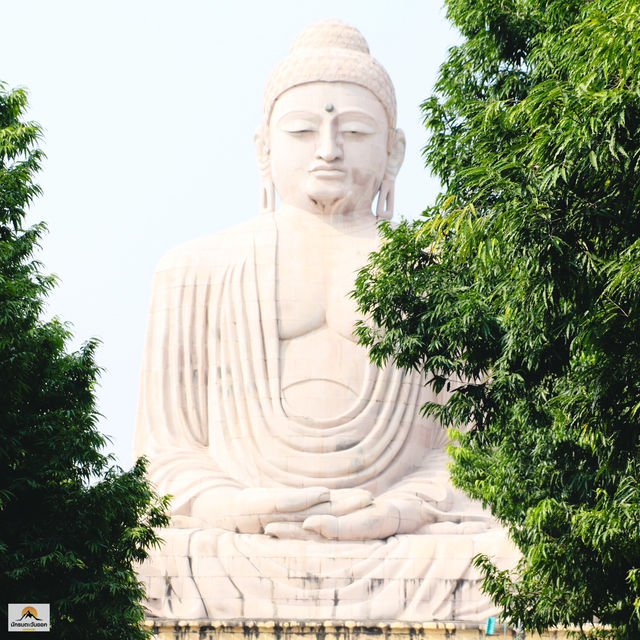 The Great Buddha of Daijokyo