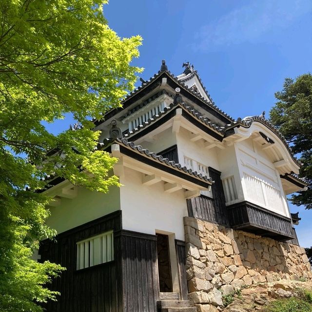 岡山景點｜空中之城．日本唯一山城天守閣—備中松山城（高粱城）