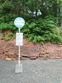 【静岡🇯🇵】メルヘンチックなおとぎの国へようこそ