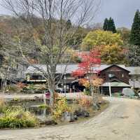 【十和田】必見！感動の紅葉🍁圧倒される絶景✨