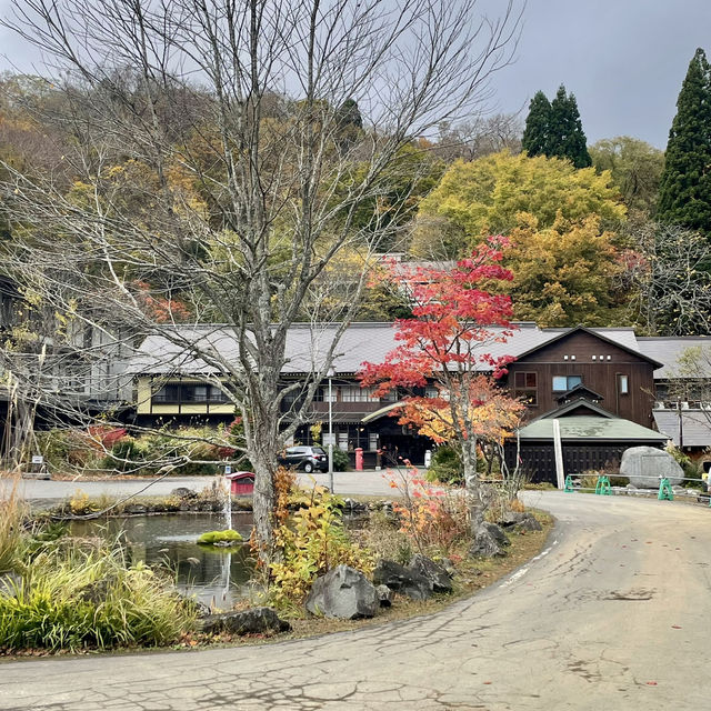 【十和田】必見！感動の紅葉🍁圧倒される絶景✨