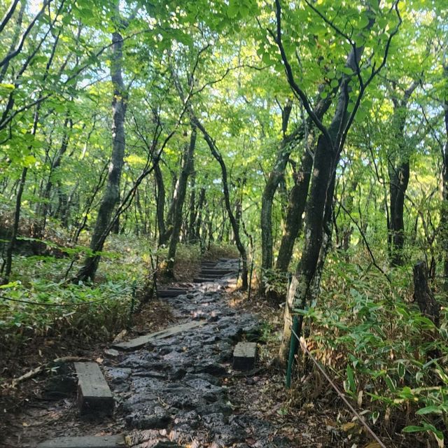 우리나라에서 가장 높은산 한라산을 가보자